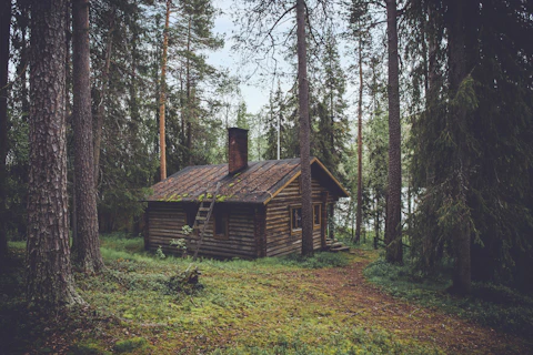 Chalet en rondins dans une clairière