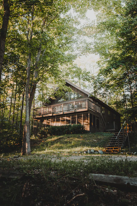 Chalet en bois au cœur de la forêt